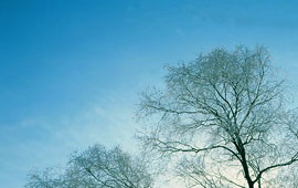 手机号测压在线