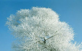 在线轰炸机免费版